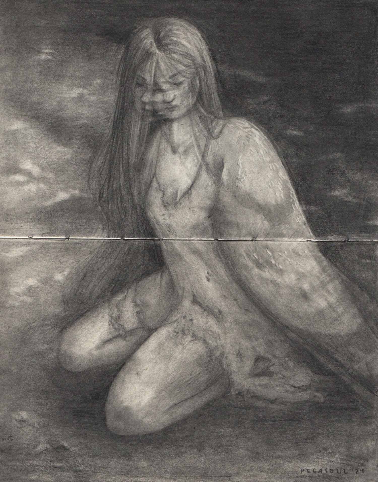 Image 12