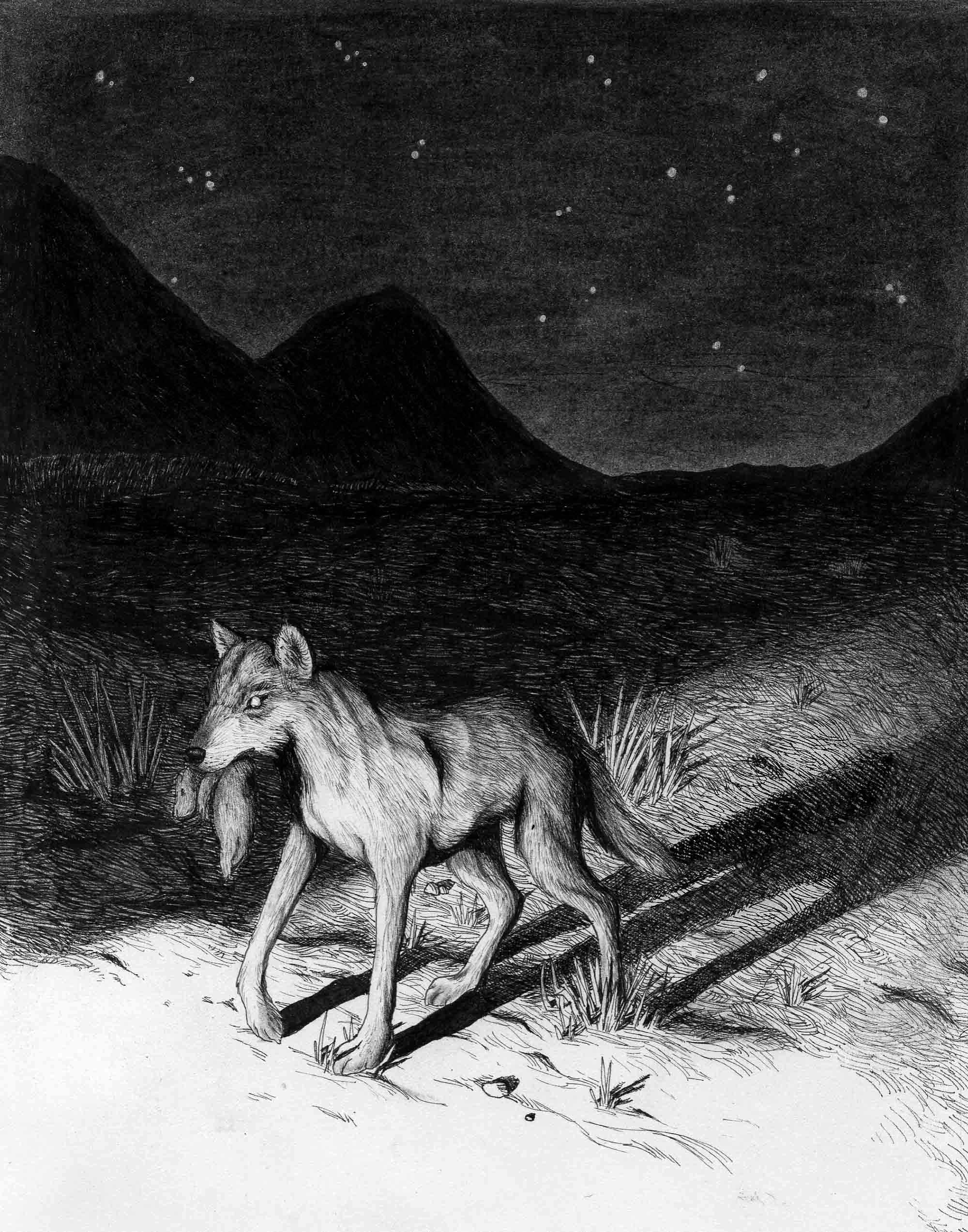 Image 14