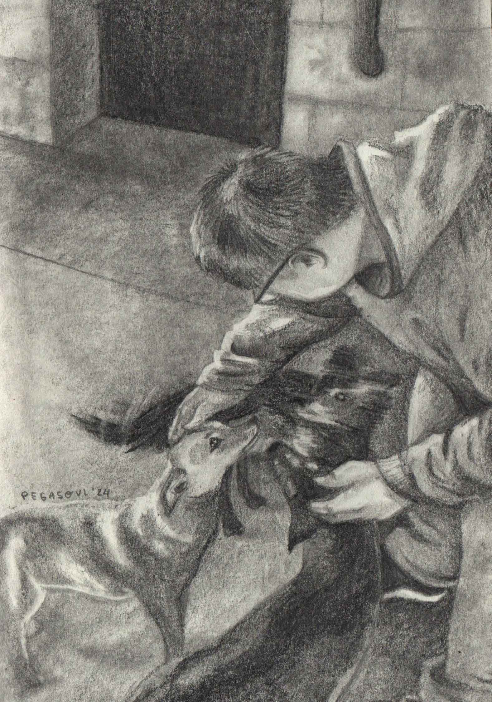 Image 15
